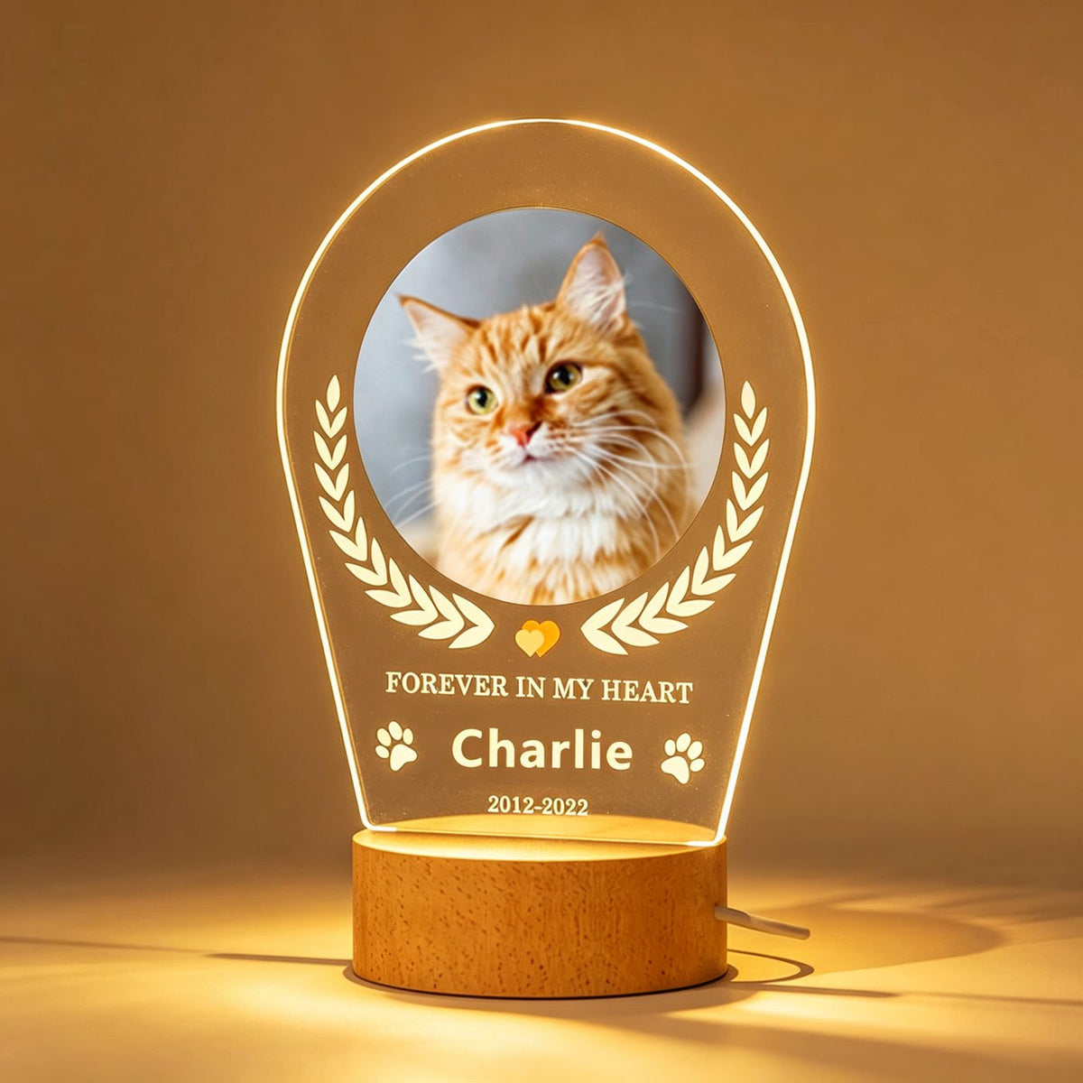 Custom acrylic pet memorial frame rectangle shape glowing warm white on wood base