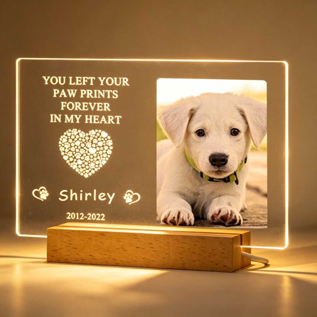 Custom pet memorial frame oval shape glowing soft white on round wood base