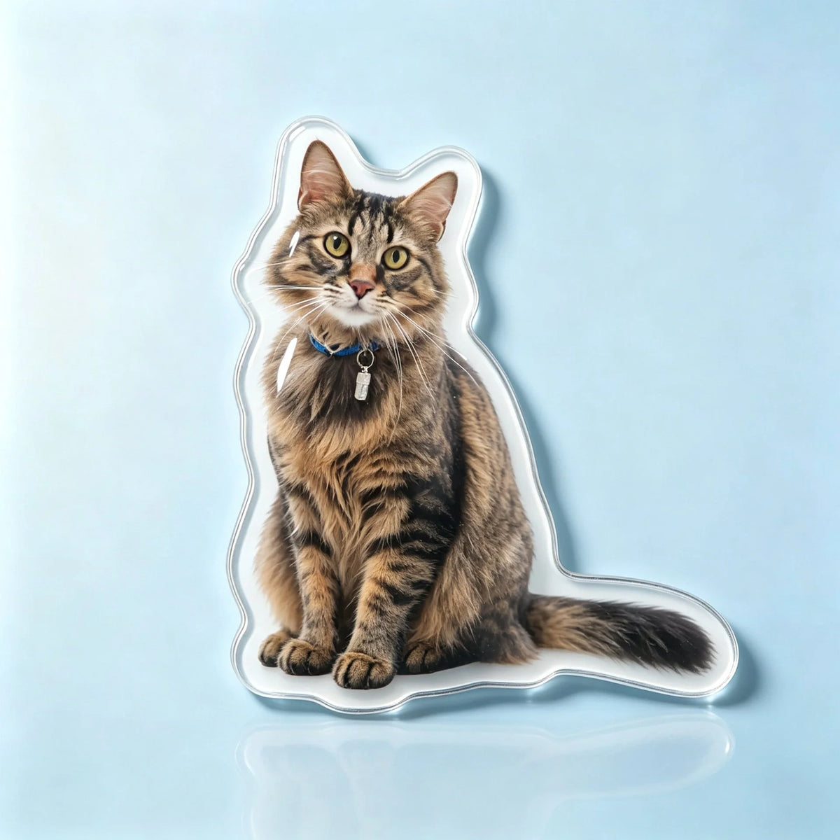 Custom photo acrylic fridge magnet contour cut example - cat photo cut to outline, personalized pet photo gift