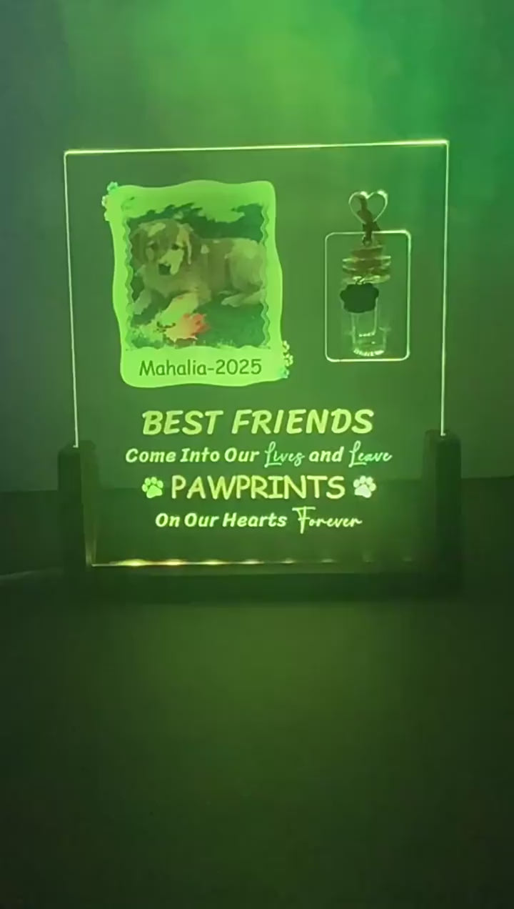 Custom pet memorial night light video demo glowing acrylic frame on wooden base